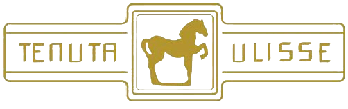 `Tenuta Ulisse brand logo`