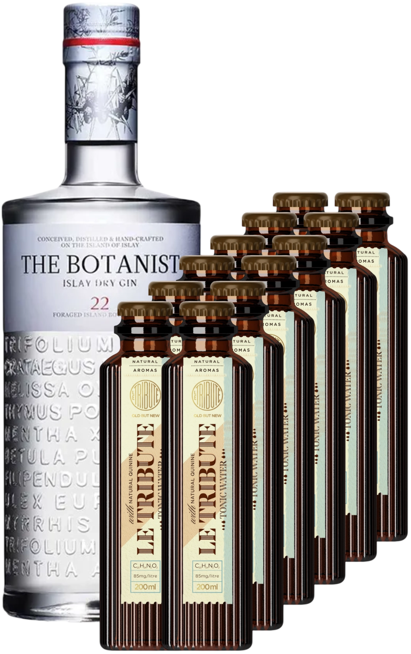 The Botanist Gin & Tonic Craft Box