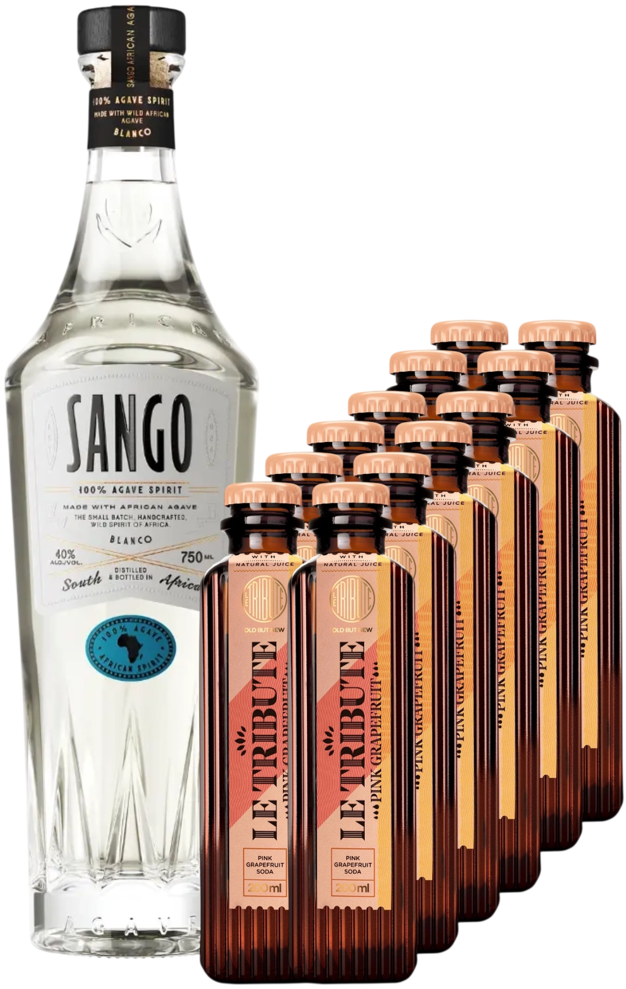 African Paloma Discovery Box